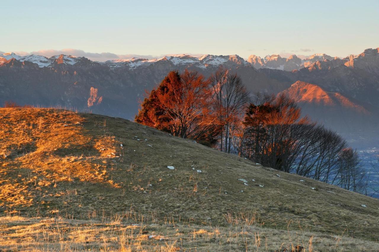 Agriturismo Riva Dei Coz Sequsino Екстер'єр фото