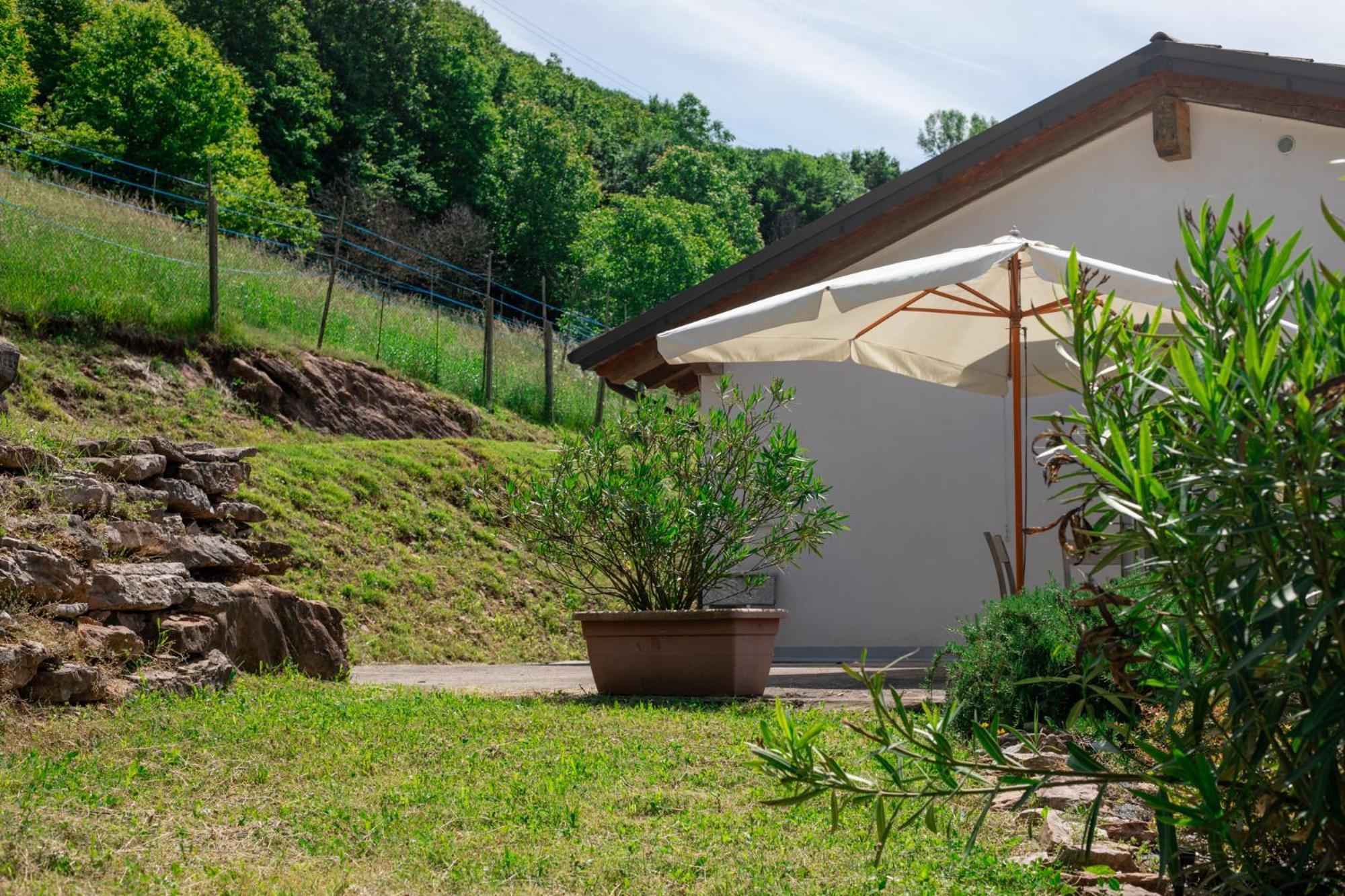 Agriturismo Riva Dei Coz Sequsino Екстер'єр фото