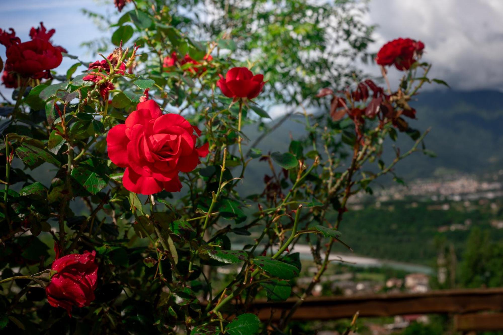 Agriturismo Riva Dei Coz Sequsino Екстер'єр фото
